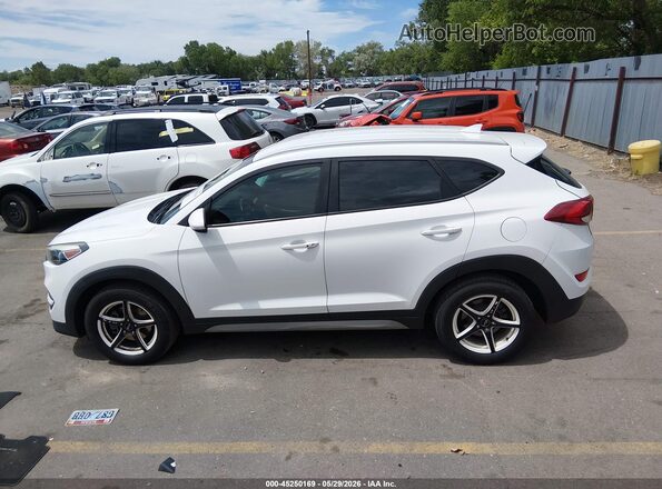 KM8J3CA46HU531153 2017 HYUNDAI TUCSON Белый Вид задней части салона