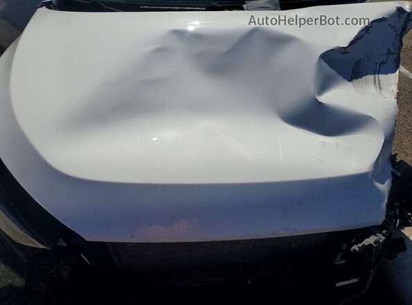 KM8J3CAL6MU367355 2021 HYUNDAI TUCSON Белый Вид подкапотного пространства