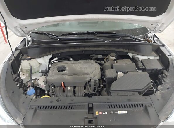 KM8J3CAL9MU286026 2021 HYUNDAI TUCSON Белый Вид сзади