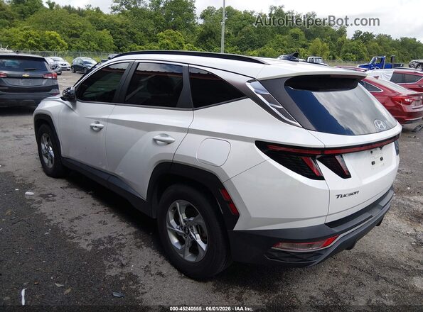 KM8JB3AEXNU041743 2022 HYUNDAI TUCSON White Rear left