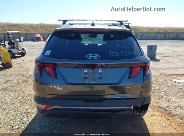 KM8JBCD10RU214541 2024 HYUNDAI TUCSON HYBRID Gray 