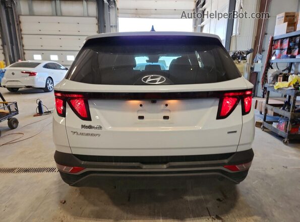 KM8JBCDEXRU336505 2024 HYUNDAI TUCSON Белый 