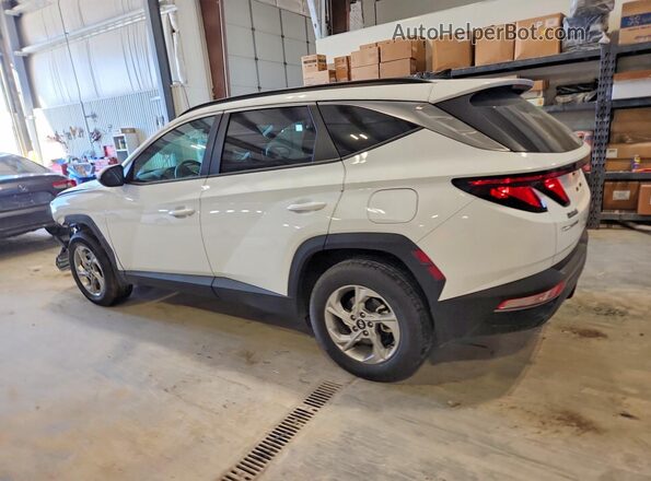 KM8JBCDEXRU336505 2024 HYUNDAI TUCSON Белый 