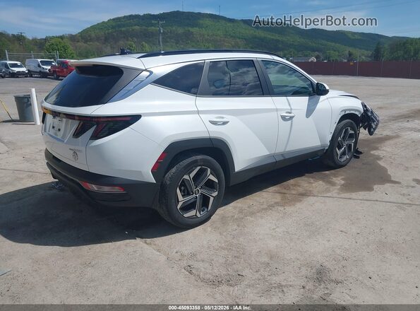 KM8JCCD13RU220511 2024 HYUNDAI TUCSON HYBRID White უკანა მარჯვენა