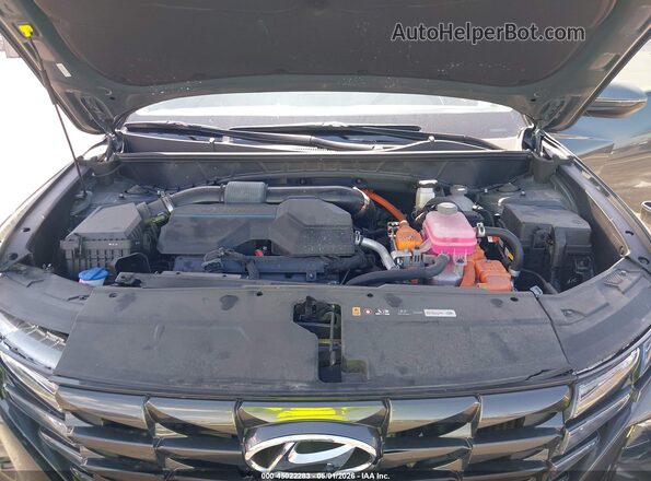 KM8JCCD13RU235199 2024 HYUNDAI TUCSON HYBRID Gray Vista trasera