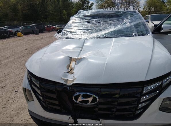 KM8JCCD17RU179817 2024 HYUNDAI TUCSON HYBRID Белый Вид спереди
