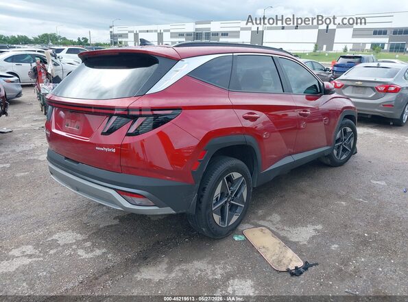 KM8JCDD15SU346946 2025 HYUNDAI TUCSON HYBRID Red Tył prawy