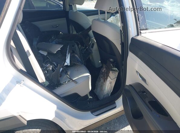KM8JEDD14SU286779 2025 HYUNDAI TUCSON HYBRID White VIN sticker view