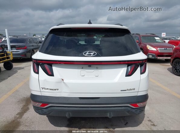 KM8JFCA18PU129193 2023 HYUNDAI TUCSON HYBRID Белый 