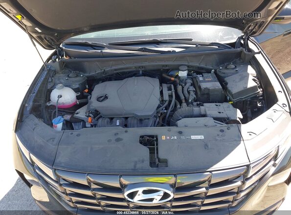 KM8JFCDE5RU297892 2024 HYUNDAI TUCSON Black უკანა ხედი