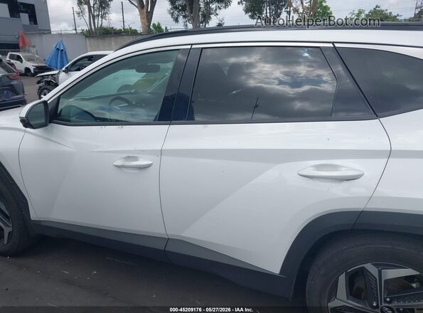 KM8JFDD24RU139796 2024 HYUNDAI TUCSON PLUG-IN HYBRID White 