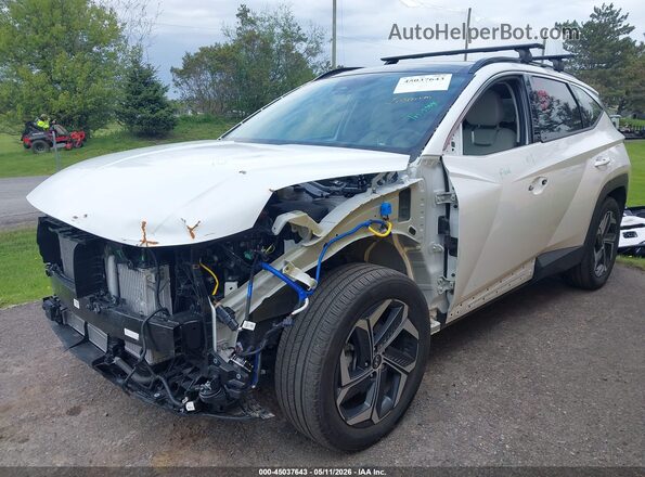 KM8JFDD2XRU234475 2024 HYUNDAI TUCSON PLUG-IN HYBRID White 