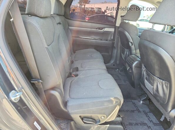 KM8R14HE0LU036503 2020 HYUNDAI PALISADE Gray Вид задньої частини салону