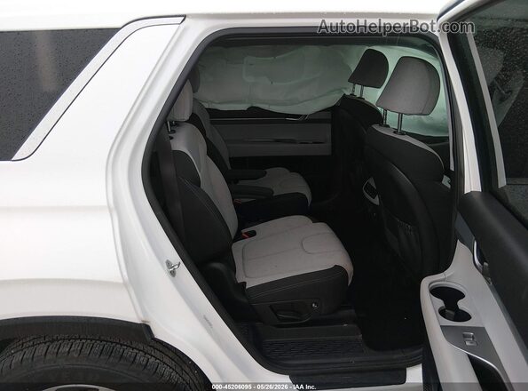 KM8R24HE2LU119928 2020 HYUNDAI PALISADE White Vista de la etiqueta del VIN