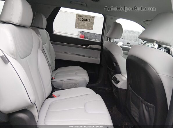 KM8R2DGE2SU829931 2025 HYUNDAI PALISADE Серебряный Вид наклейки с VIN-кодом