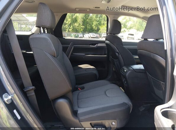 KM8R2DHEXLU141269 2020 HYUNDAI PALISADE Gray Widok naklejki z numerem VIN
