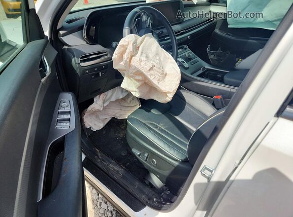 KM8R3DGE3RU664768 2024 HYUNDAI PALISADE White 