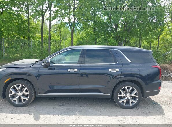 KM8R3DHE3LU060062 2020 HYUNDAI PALISADE Синий Панорамный вид салона 360°