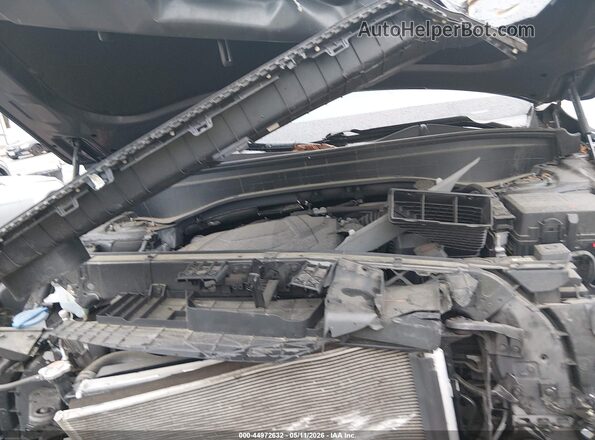 KM8R3DHE9LU100385 2020 HYUNDAI PALISADE Gray Widok z tyłu