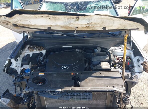 KM8R4DHEXMU253288 2021 HYUNDAI PALISADE White Widok z tyłu