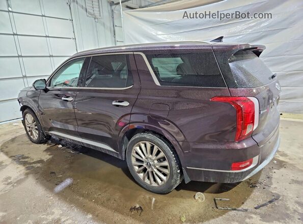 KM8R5DHE1LU148280 2020 HYUNDAI PALISADE Красный Задняя левая четверть