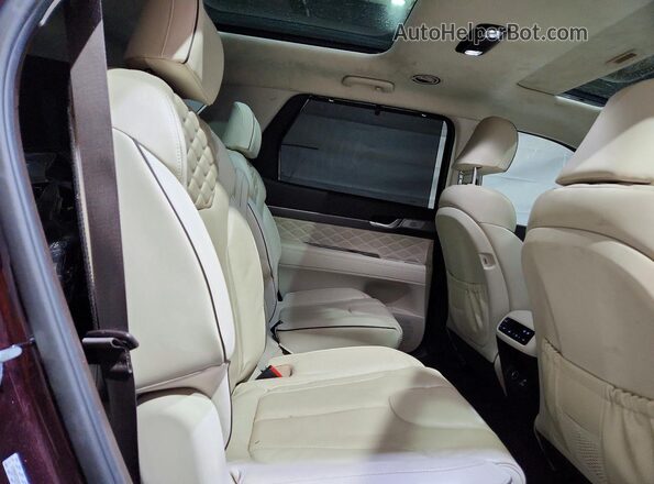 KM8R5DHE1LU148280 2020 HYUNDAI PALISADE Красный Вид задней части салона