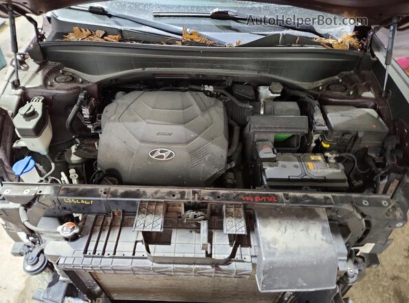 KM8R5DHE1LU148280 2020 HYUNDAI PALISADE Красный Вид подкапотного пространства