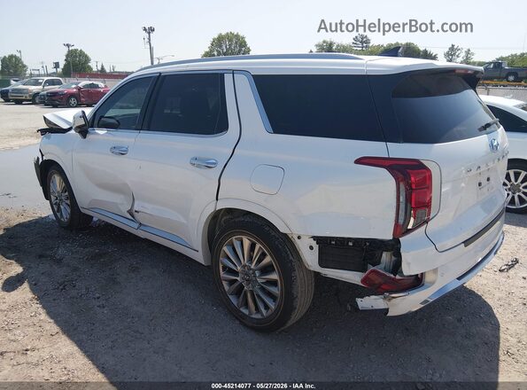 KM8R5DHE2LU096108 2020 HYUNDAI PALISADE Белый Задняя левая четверть