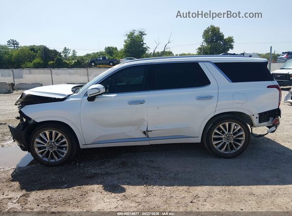 KM8R5DHE2LU096108 2020 HYUNDAI PALISADE Белый Панорамный вид салона 360°