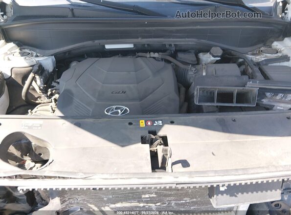 KM8R5DHE2LU096108 2020 HYUNDAI PALISADE Белый Вид сзади