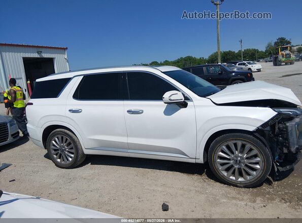 KM8R5DHE2LU096108 2020 HYUNDAI PALISADE Белый Вид задней части салона