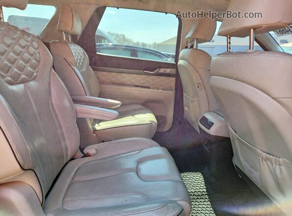 KM8R5DHE5LU124290 2020 HYUNDAI PALISADE Угольный Вид задней части салона