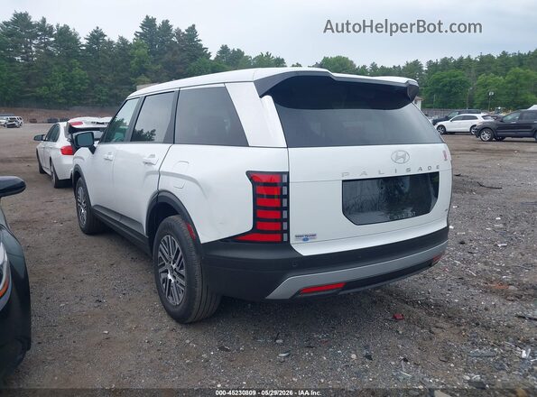 KM8RFES25TU083614 2026 HYUNDAI PALISADE Белый Задняя левая четверть