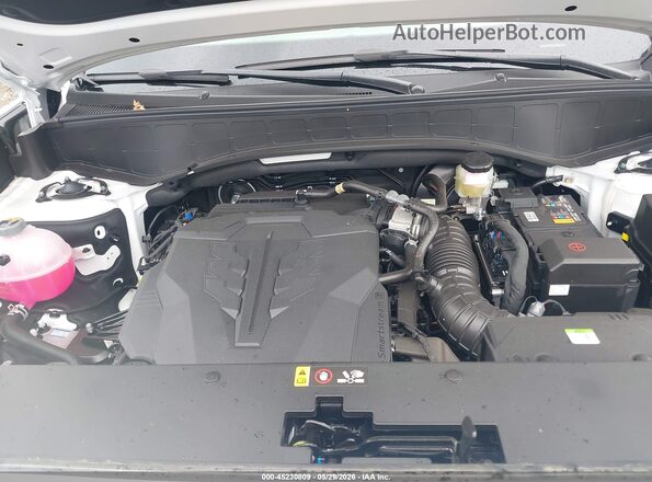 KM8RFES25TU083614 2026 HYUNDAI PALISADE Белый Вид сзади
