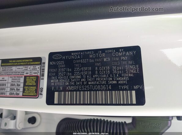 KM8RFES25TU083614 2026 HYUNDAI PALISADE Белый Вид подкапотного пространства