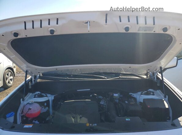 KM8RNES23TU073778 2026 HYUNDAI PALISADE White 