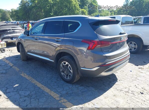 KM8S2DA13NU025617 2022 HYUNDAI SANTA FE HYBRID Gray უკანა მარცხენა