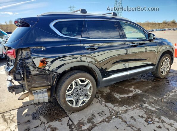 KM8S3DA13MU008375 2021 HYUNDAI SANTA Black Задня права чверть