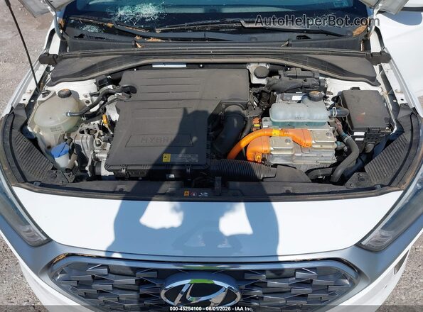 KMHC65LC1LU186428 2020 HYUNDAI IONIQ HYBRID White Հետևի տեսք
