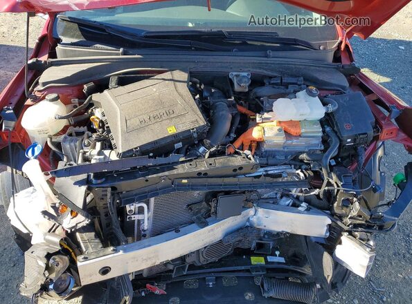 KMHC75LC1KU123261 2019 HYUNDAI IONIQ Red 