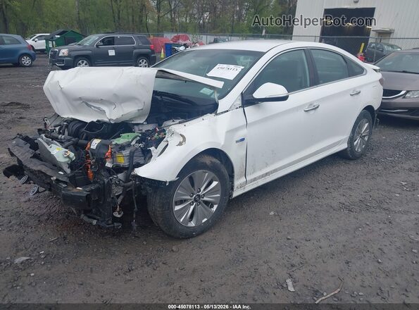 KMHE24L31KA093553 2019 HYUNDAI SONATA HYBRID White 