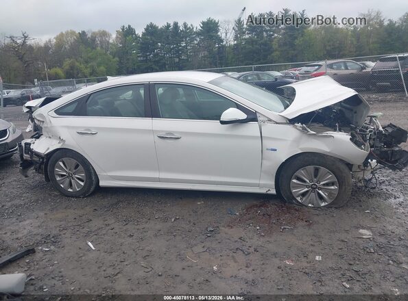 KMHE24L31KA093553 2019 HYUNDAI SONATA HYBRID White 
