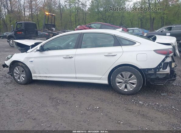 KMHE24L31KA093553 2019 HYUNDAI SONATA HYBRID White 