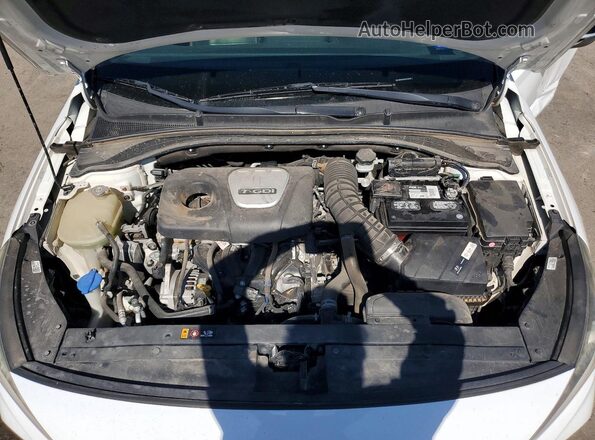 KMHH55LC0LU123393 2020 HYUNDAI ELANTRA White Սալոնի հետևի տեսք