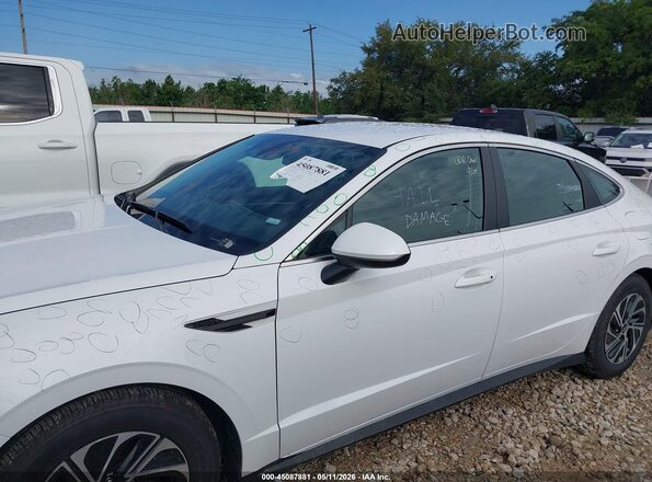 KMHL24JJ3TA146280 2026 HYUNDAI SONATA HYBRID Белый 