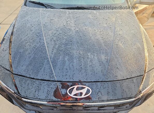 KMHLL4DG7SU002533 2025 HYUNDAI ELANTRA Black Սալոնի հետևի տեսք