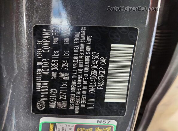 KMHLS4DG6RU643587 2024 HYUNDAI ELANTRA Gray 