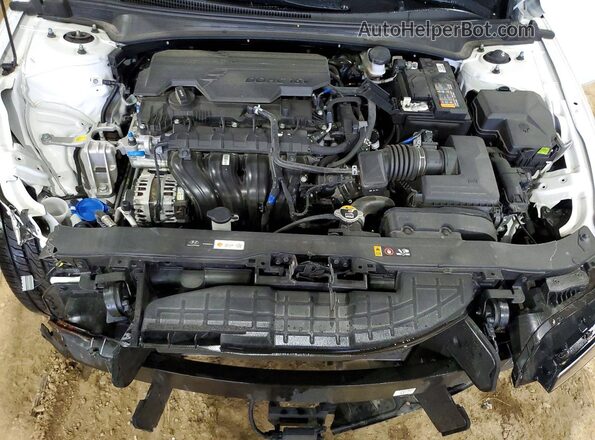 KMHLS4DG6SU905971 2025 HYUNDAI ELANTRA Белый Вид задней части салона
