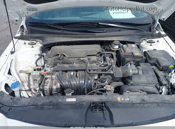 KMHLS4DG7RU647003 2024 HYUNDAI ELANTRA White Widok z tyłu