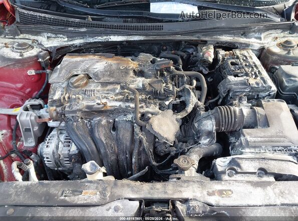 KMHLS4DG9RU709632 2024 HYUNDAI ELANTRA Burgundy Front view